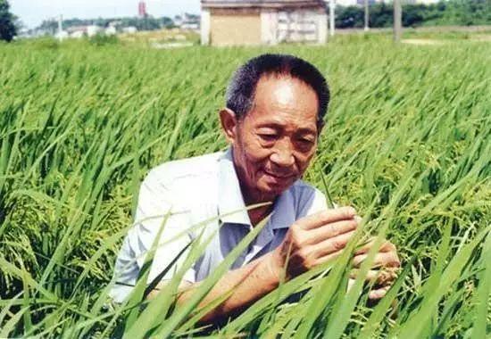 一日三餐，米香彌漫，飽食者當(dāng)憶袁公！