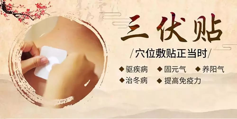 關(guān)于三伏貼，你了解多少呢？
